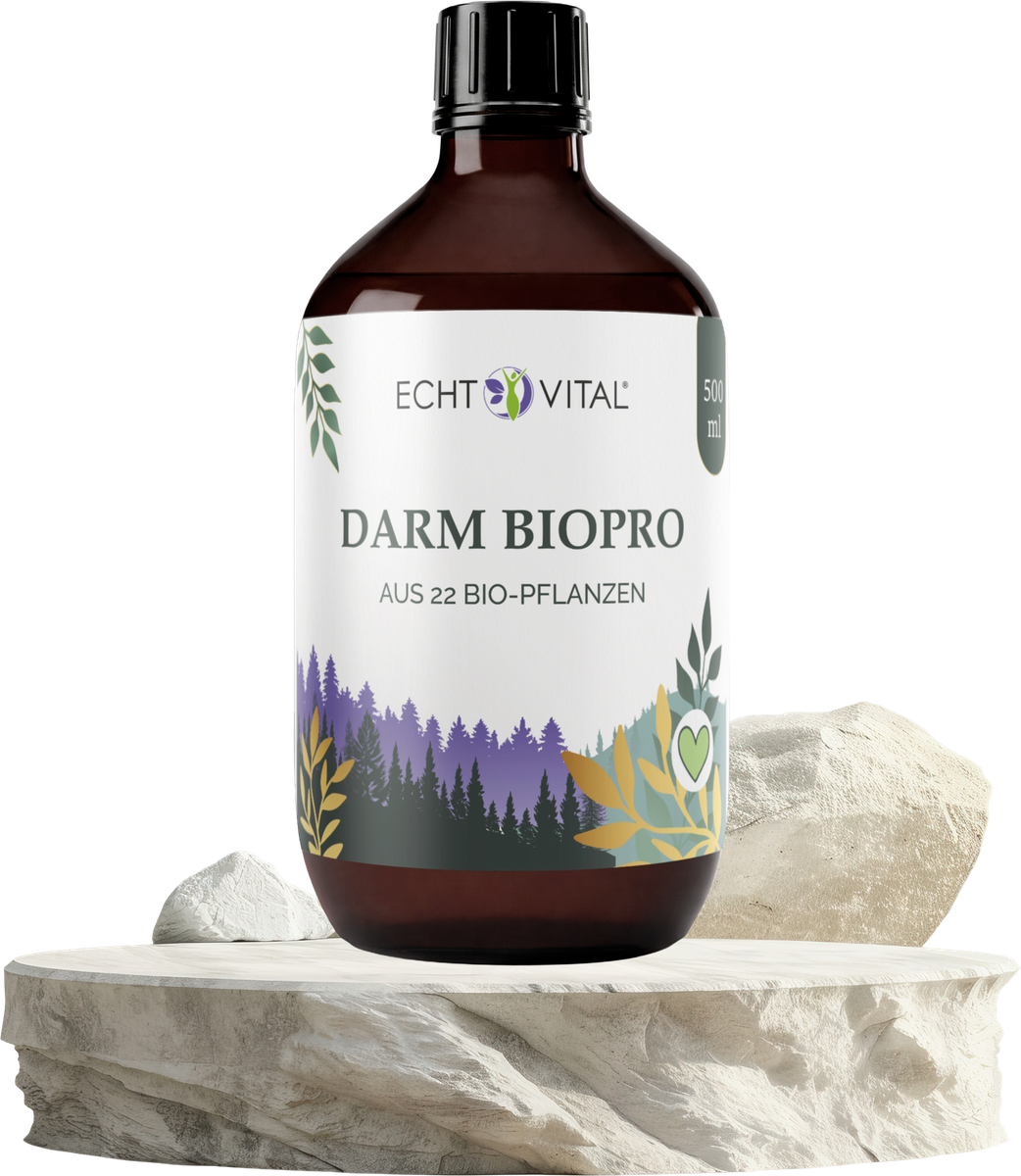 Darm Biopro Fermentgetränk